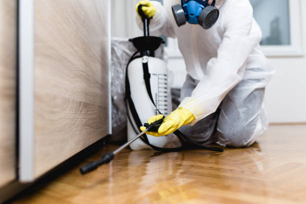 Best Mosquito Control Services  in Bayou Cane, LA