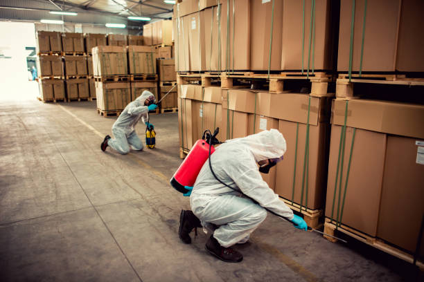 Best Bed Bug Extermination  in Bayou Cane, LA