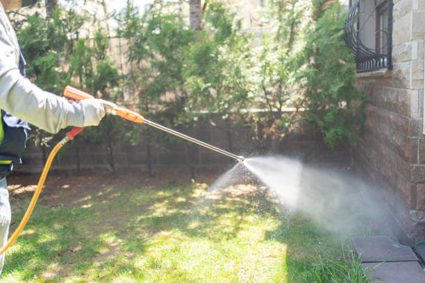 Wasp Removal Services in Bayou Cane, LA