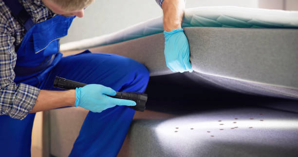 Best Pest Inspection Near Me  in Bayou Cane, LA