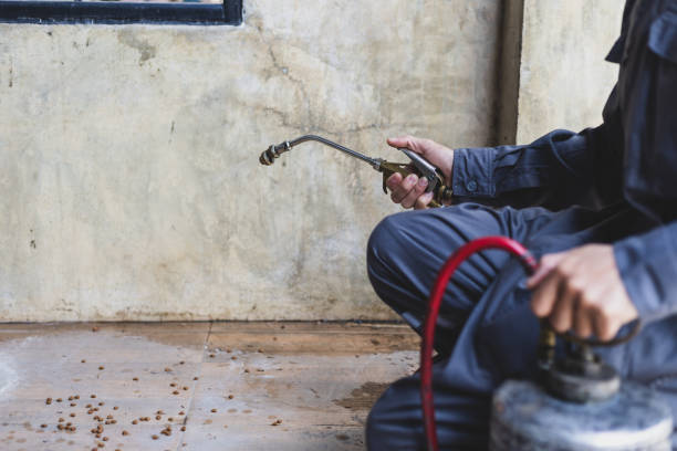 Best Best Pest Control Companies  in Bayou Cane, LA
